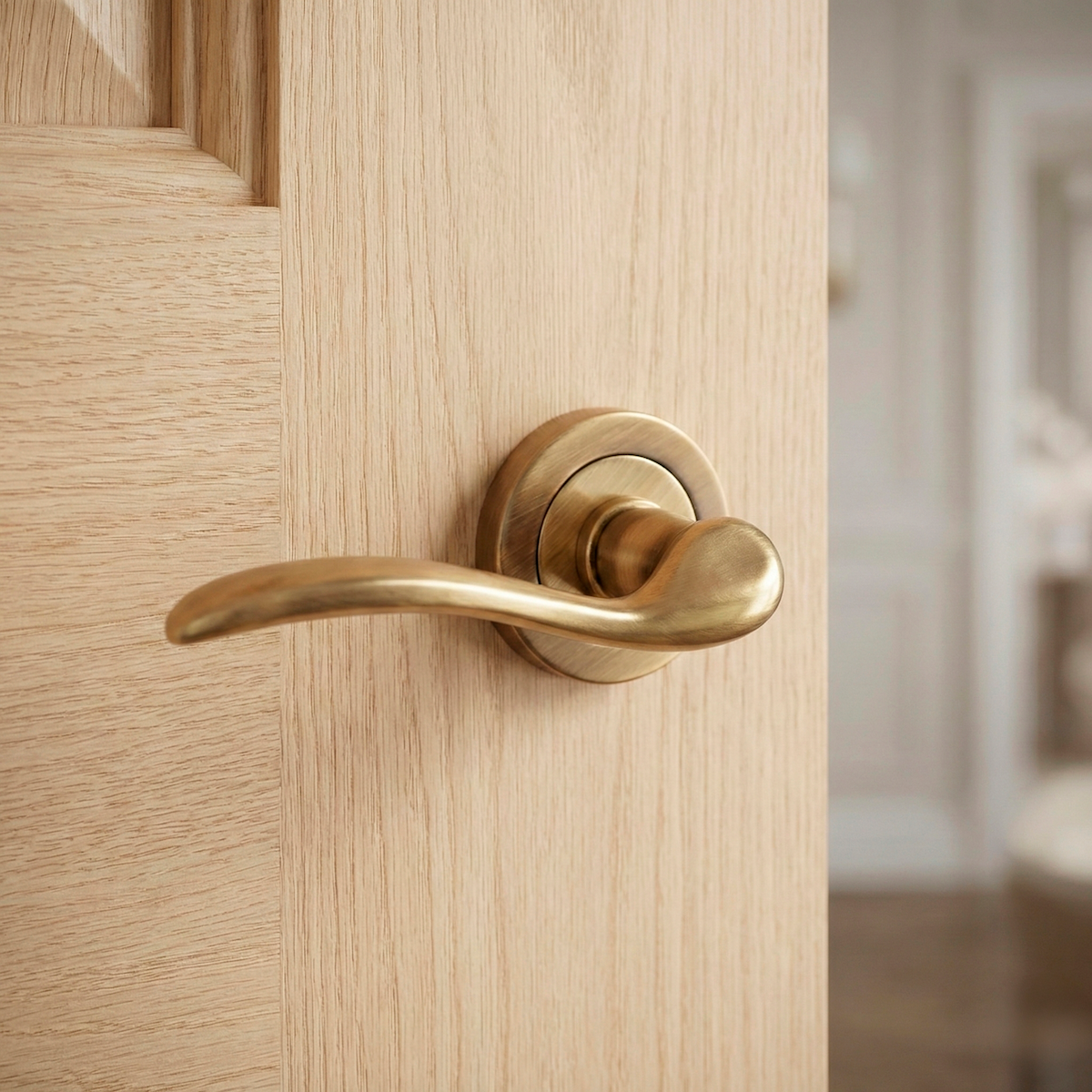 '7001' model zamak door handle with round rose, leather finish