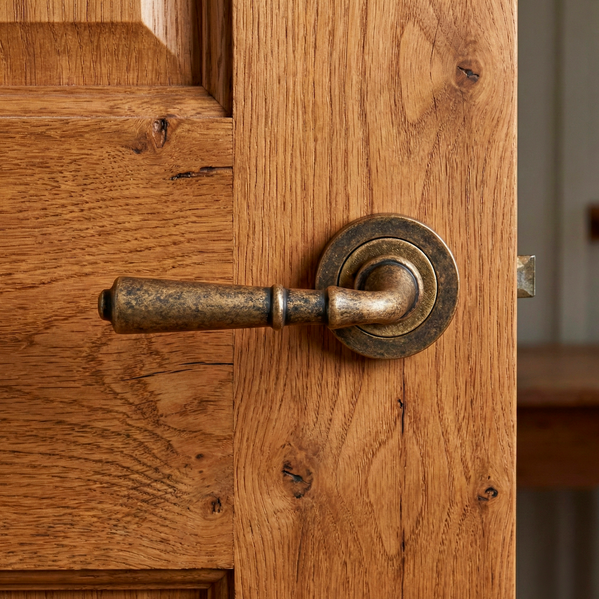 '507' model door handle with round rose in aged leather finish
