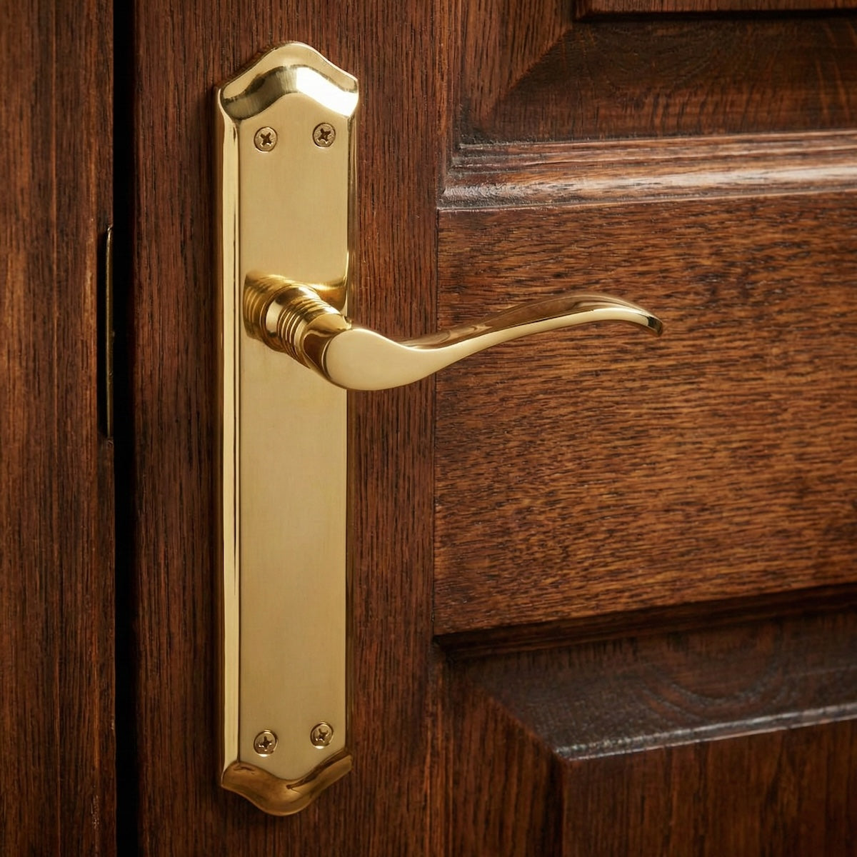 '881' model door handle with an oval aluminum plate in a satin gold finish