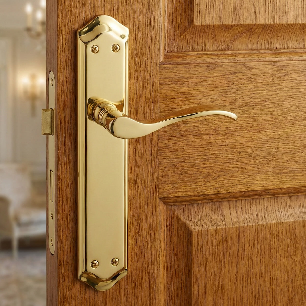 '881' model door handle with an oval aluminum plate in a satin gold finish
