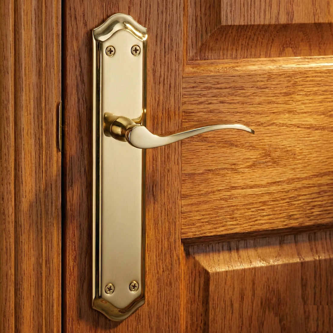 Manilla MASTER acabado dorado satinado con placa ovalada curva para puertas